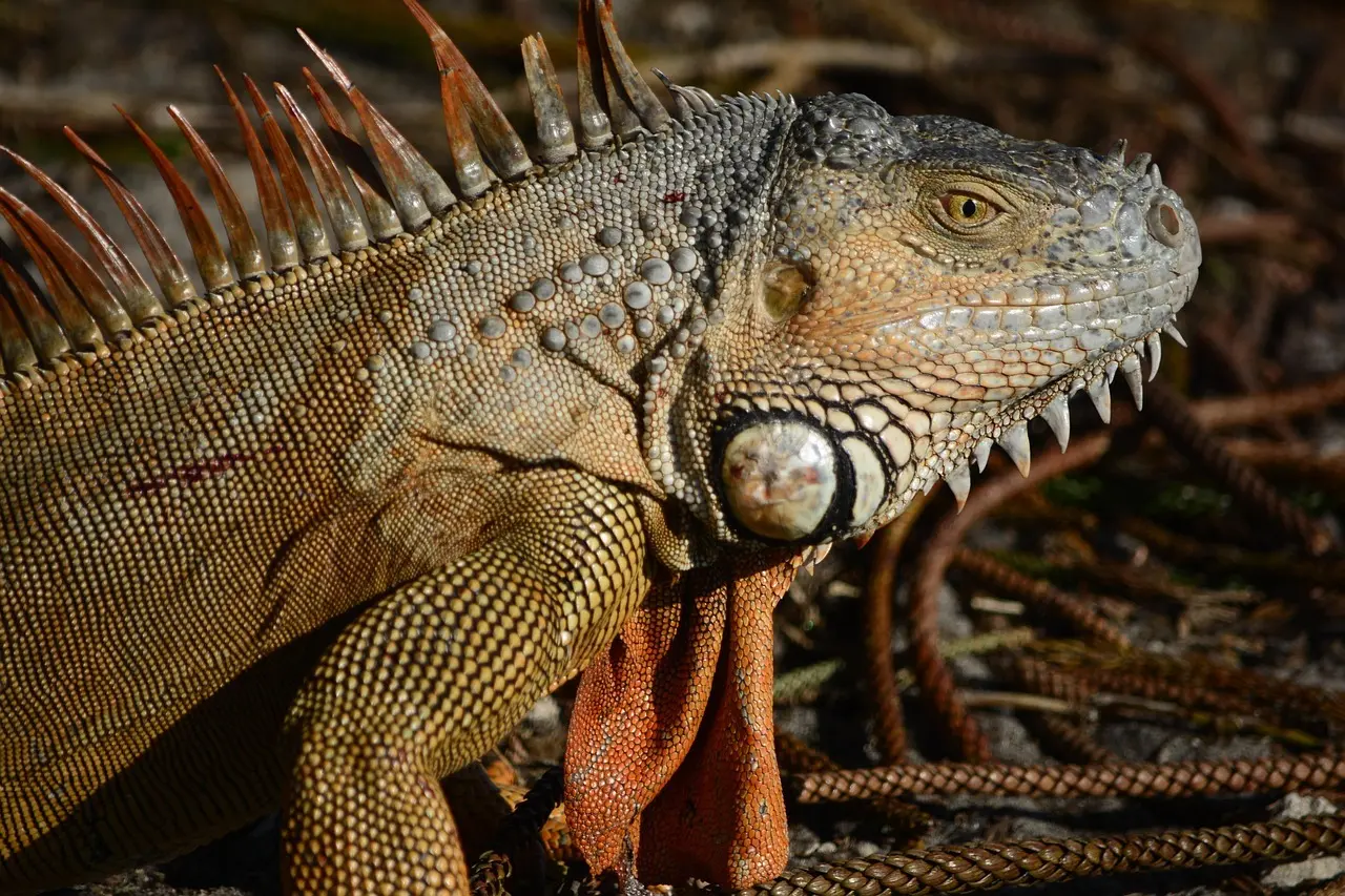 Guide: Vælg den rette antiperspirant til din hud