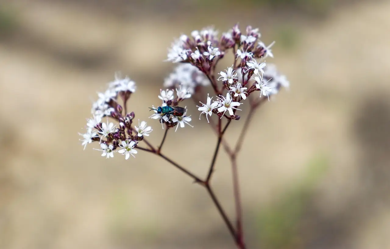 9 materialer til lydisolering af gipsvægge